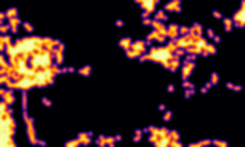 Brain1 path density 2026-08-03