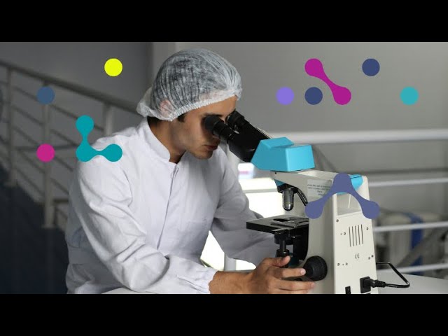 King's Institute for Artificial Intelligence