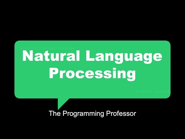 The Programming Professor